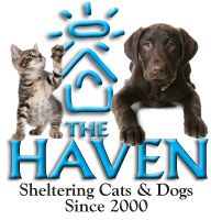 The Haven