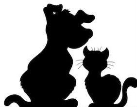 Sullivan County Humane Society