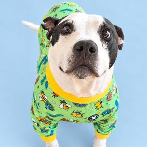 A black and white dog wearing a green pajama set with a pattern of cartoon animals and objects.