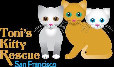 Toni's Kitty Rescue