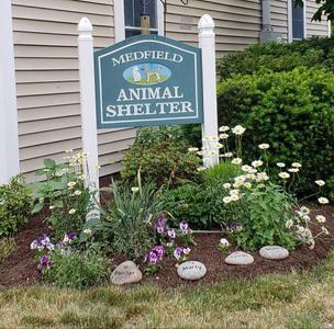 A Medfield Animal Shelter