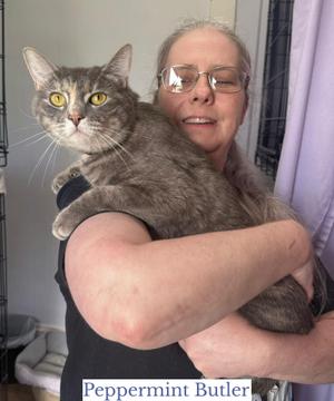 A woman with glasses is holding a gray tabby cat with yellow eyes. The cat is looking directly at the camera, and the woman is smiling. The text "Peppermint Butler" is at the bottom of the image.