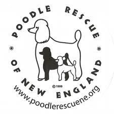 Poodle Rescue New England