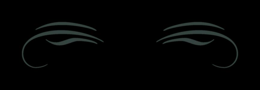 Wild Cat Foundation
