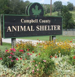 Campbell County Animal Services
