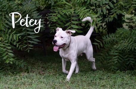 Clinton Animal Shelter