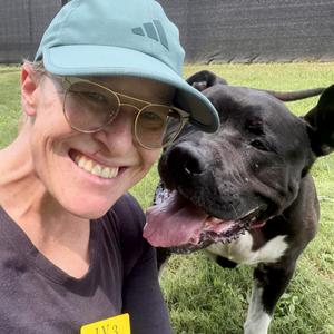 Sushi, Terrier, adult, available for adoption