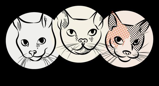 Catman2 Inc.