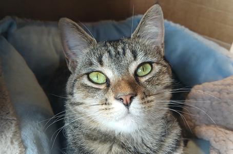 Orchid, young, available for adoption