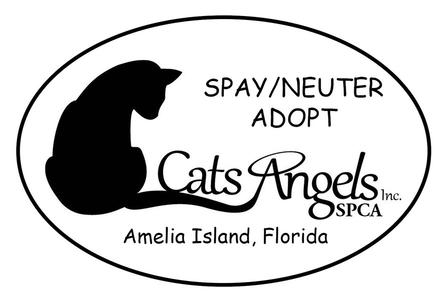 Cats Angels, Inc. SPCA