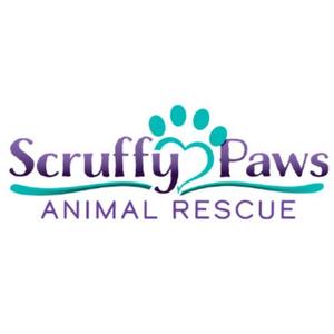 Scruffy Paws Animal Rescue
