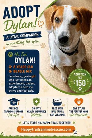 Dylan, Beagle, adult, available for adoption
