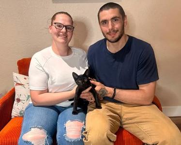 Raven, young, available for adoption