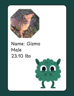 A card with a photo of a dog named Gizmo, who is male and weighs 23.10 lbs. The card also features a cartoon green creature.