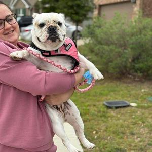 a woman holding a bulldog