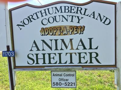 Northumberland County Animal Shelter