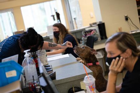Humane Society of Vero Beach and Indian River County
