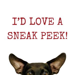 Future Dog Adopter, Mixed Breed (Small), adult, available for adoption