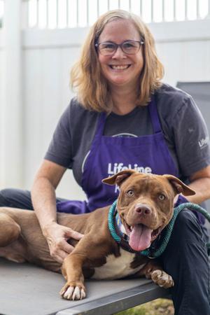 Anders, Mixed Breed, young, available for adoption