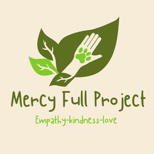 Mercy Full Project
