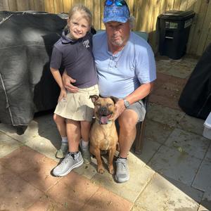 Forrest - COME MEET 10/26, Boxer, adult, available for adoption