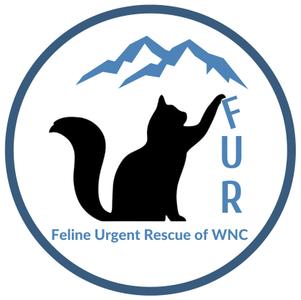 Feline Urgent Rescue of Western North Carolina
