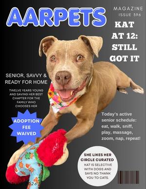 KAT, Pit Bull Terrier, senior, available for adoption