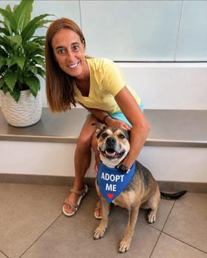Doran, Shepherd, adult, available for adoption