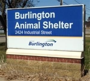 Burlington Animal Shelter