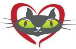 Love Your Feral Felines