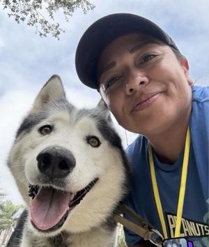FELIX, Siberian Husky, senior, available for adoption