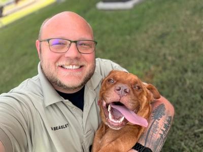 BT, American Staffordshire Terrier Mix, senior, available for adoption