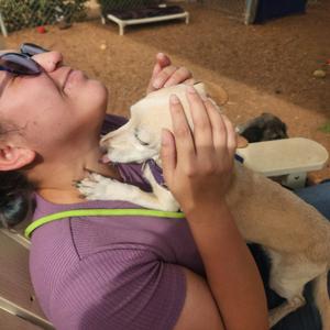 A person wearing sunglasses and a purple shirt is holding a small dog in their arms. The dog is light-colored with a white face and is being held close to the person's face. The background shows an outdoor setting with a wooden bench and a gravel ground.