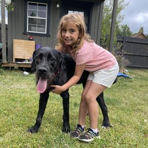 Drifter, Mixed Breed, young, available for adoption