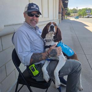 Gypsy, Hound, senior, available for adoption