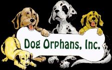 Dog Orphans Inc.