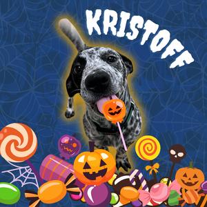 Kristoff, American Blue Heeler, puppy, available for adoption
