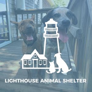 Lighthouse Animal Shelter