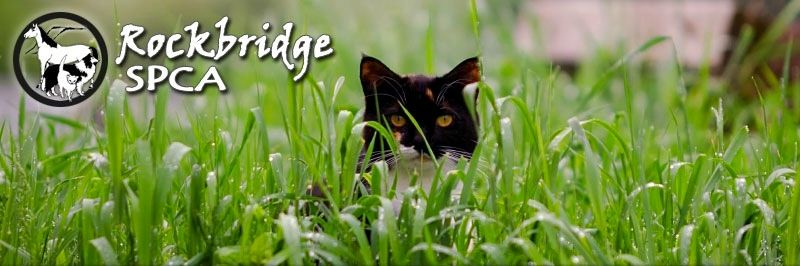 Rockbridge SPCA