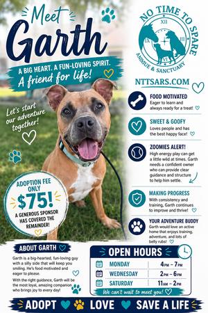 Garth, Pit Bull Terrier / 31 Flavors Mixes, adult, available for adoption
