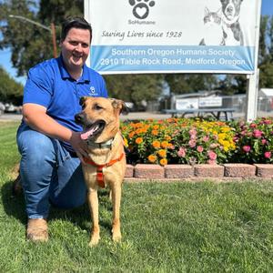 Rolo, Mixed Breed (Large), adult, available for adoption