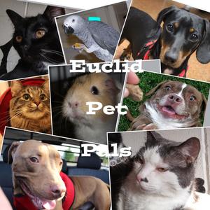 Euclid Animal Shelter
