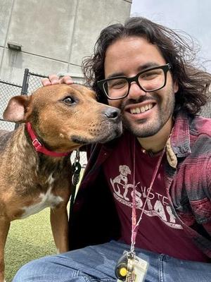 Boone, Mixed Breed, adult, available for adoption