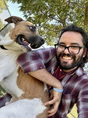 Escape Pod, Mixed Breed, adult, available for adoption