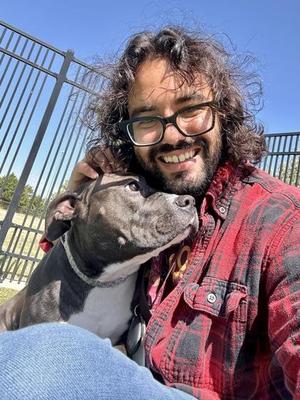 Birthday Cake Oreo, Mixed Breed, adult, available for adoption