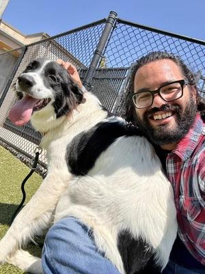 Ellie, Mixed Breed, adult, available for adoption