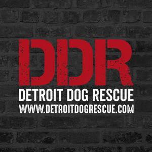Detroit Dog Rescue