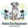 Paws Fur Recovery