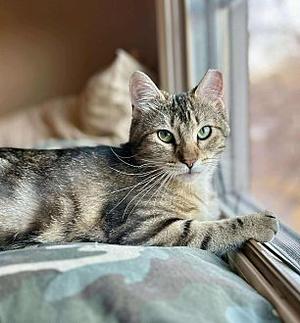 Jean, young, available for adoption