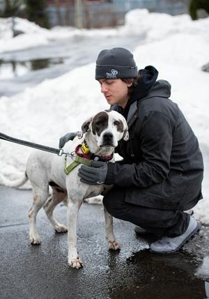 Adelaide, Hounds (All Types), adult, available for adoption
